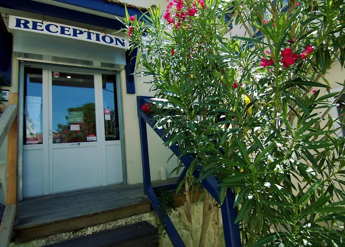 L'arbousier 滨海苏拉克