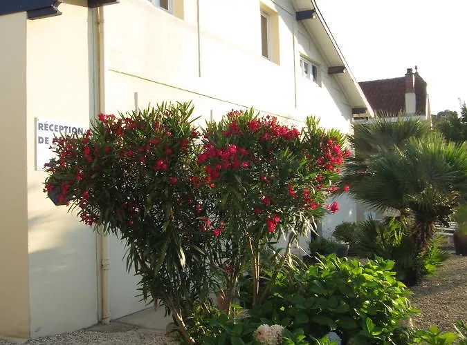 L'arbousier Soulac-sur-Mer